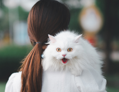 Aşılama Takvimi ve Önemi